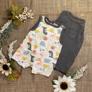 Chickpea Unisex Crepe Blend Ruffled Rompers, Set of 2 in Grey and Dinosaur Print